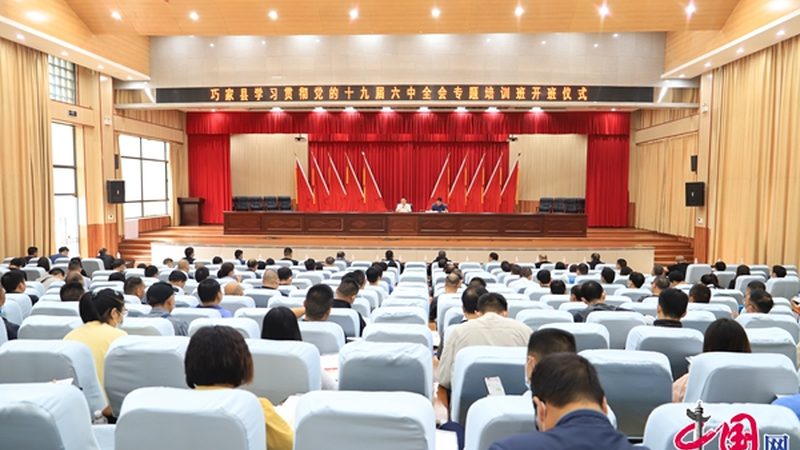 良好的学习习惯有助于提高学习效率。以下是一些建议：